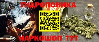 ECSTASY Донецк