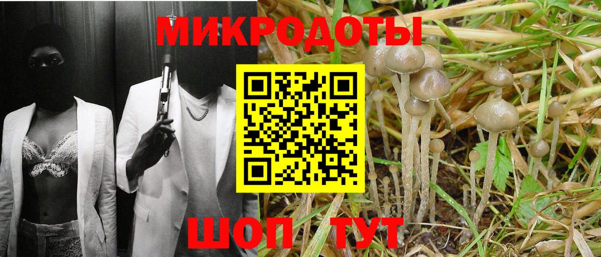 Псилоцибиновые грибы GOLDEN TEACHER Надым