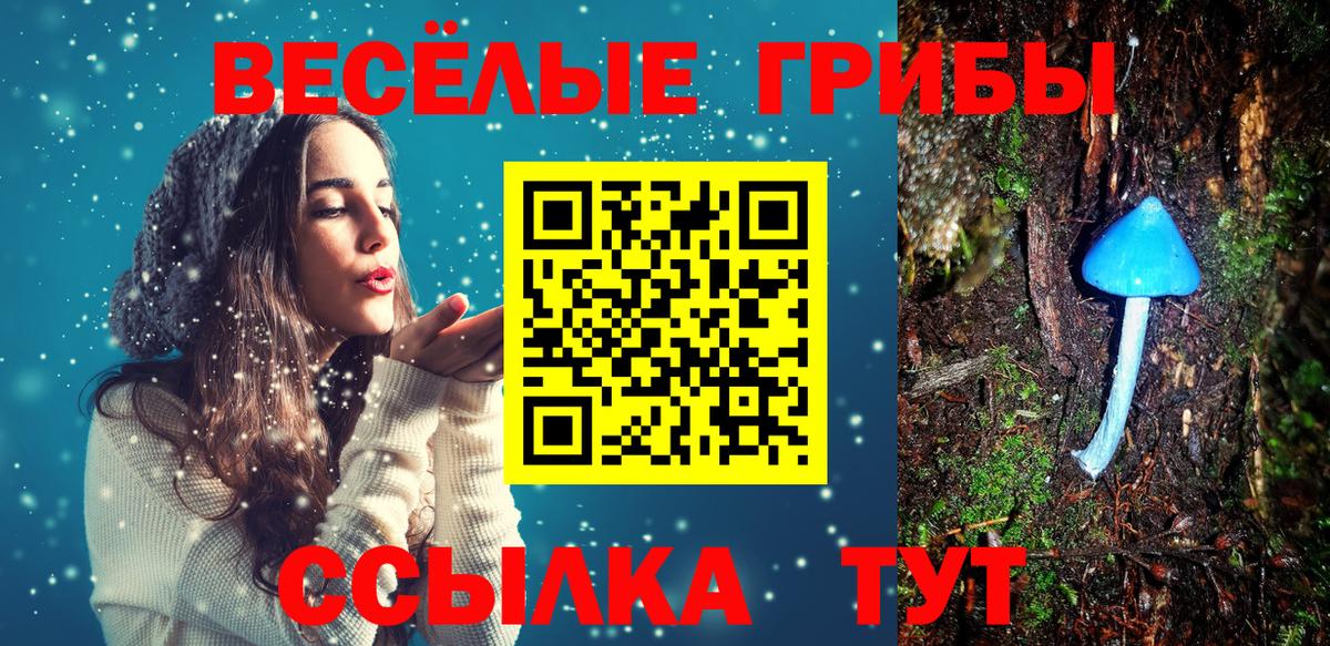 Псилоцибиновые грибы Psilocybine cubensis  Вход с VPN  Надым 